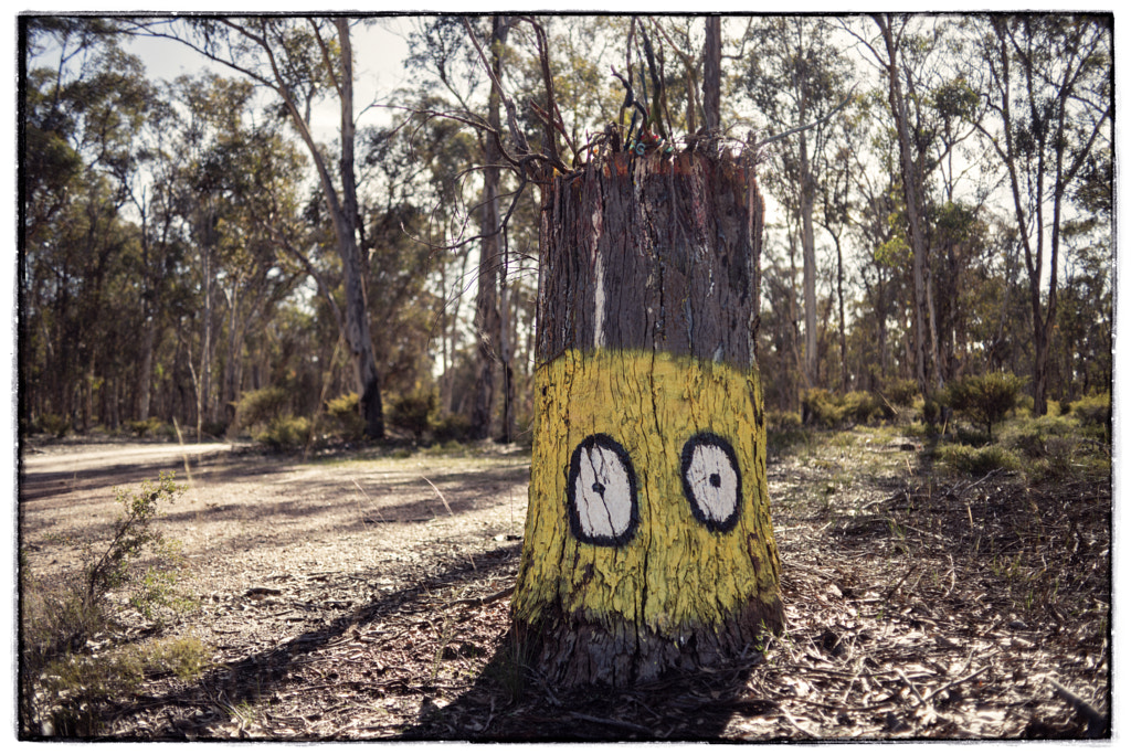 State Route 120 by Paul Amyes on 500px.com