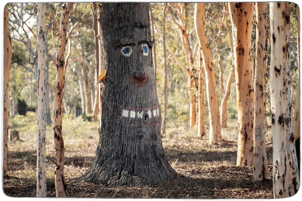 State Route 120 by Paul Amyes on 500px.com