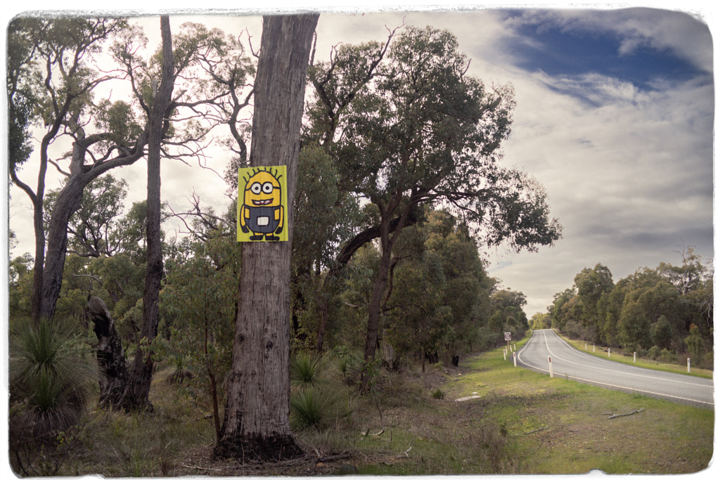 State Route 120 by Paul Amyes on 500px.com