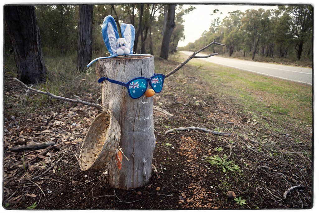 State Route 120 by Paul Amyes on 500px.com