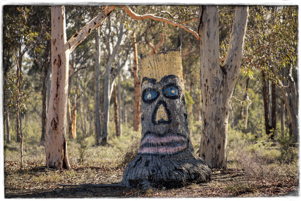 State Route 120 by Paul Amyes on 500px.com