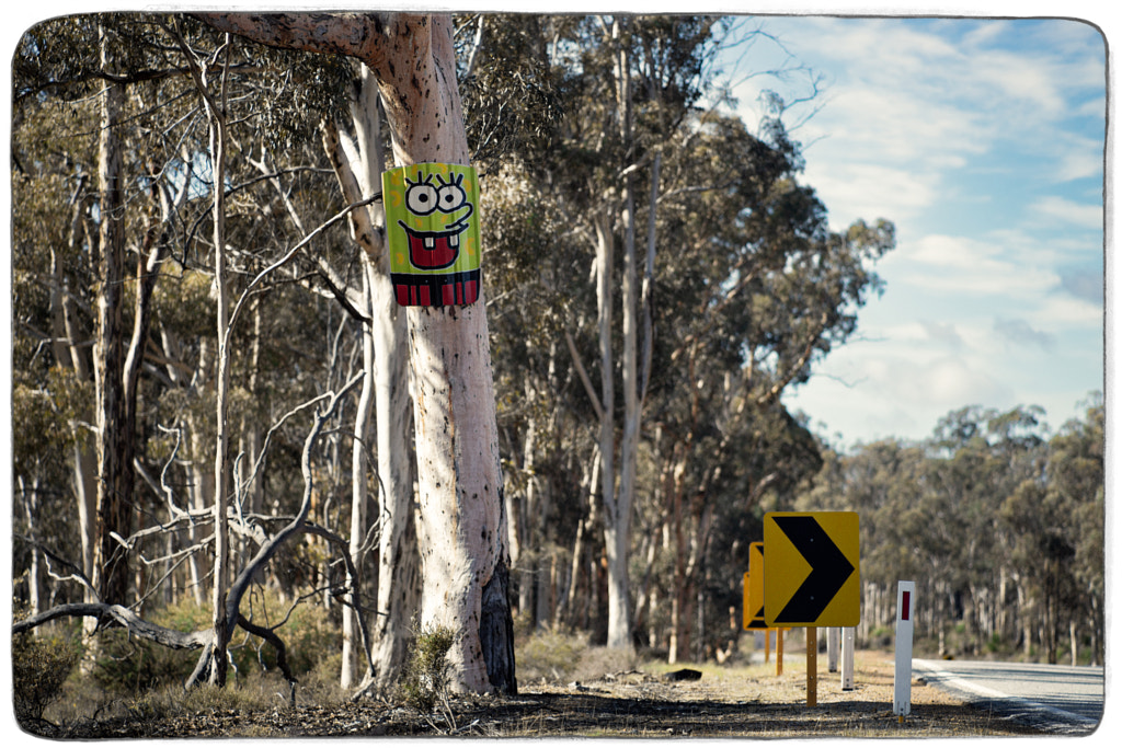 State Route 120 by Paul Amyes on 500px.com