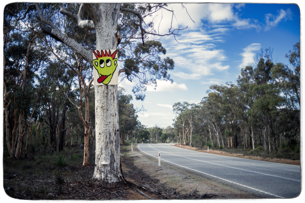State Route 120 by Paul Amyes on 500px.com