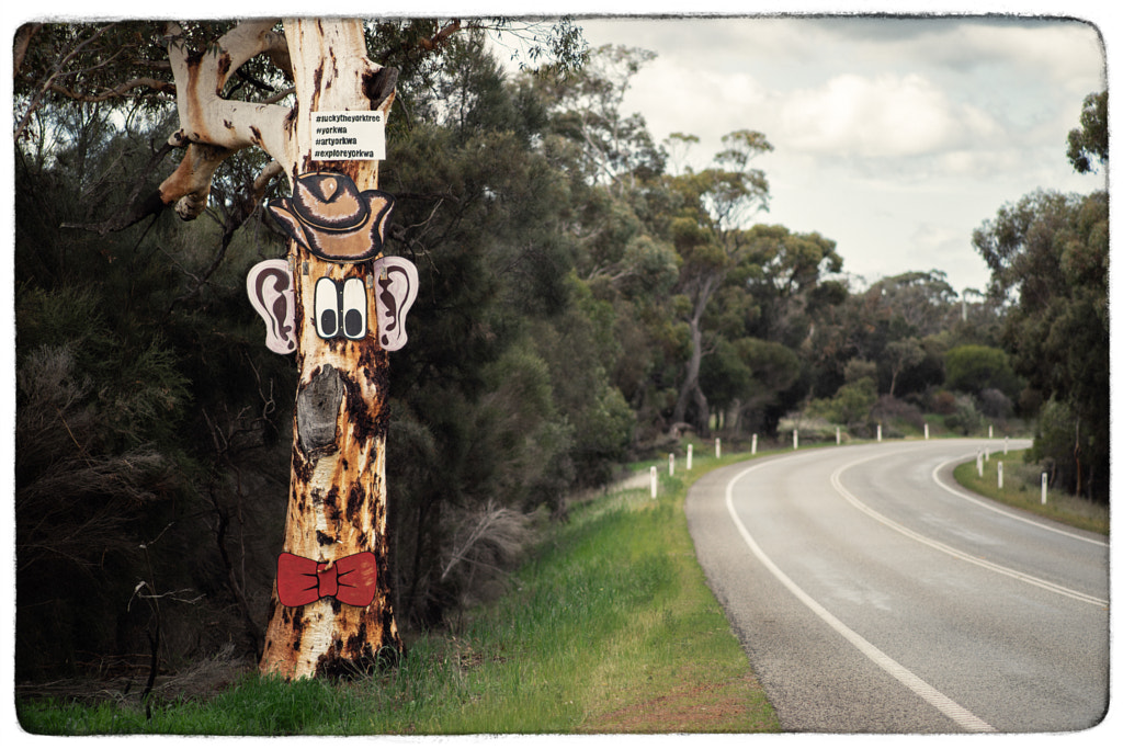 State Route 120 by Paul Amyes on 500px.com