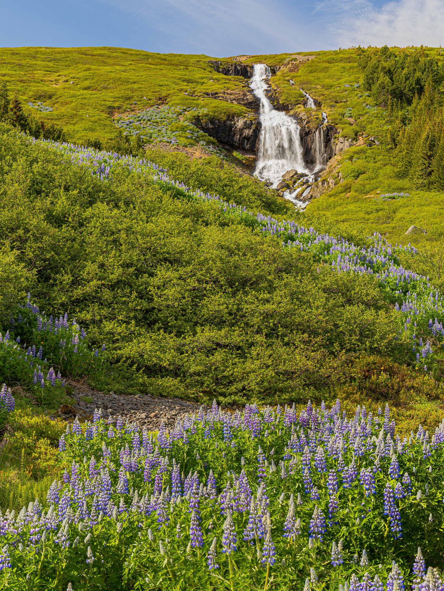 ICELAND-Ísafjörður-Bunárfoss