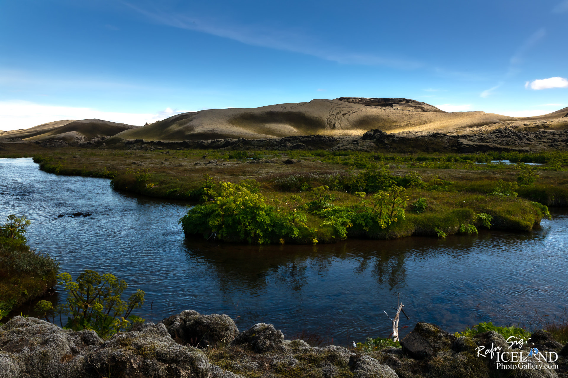 Lakagígar area │ Iceland Photo Gallery