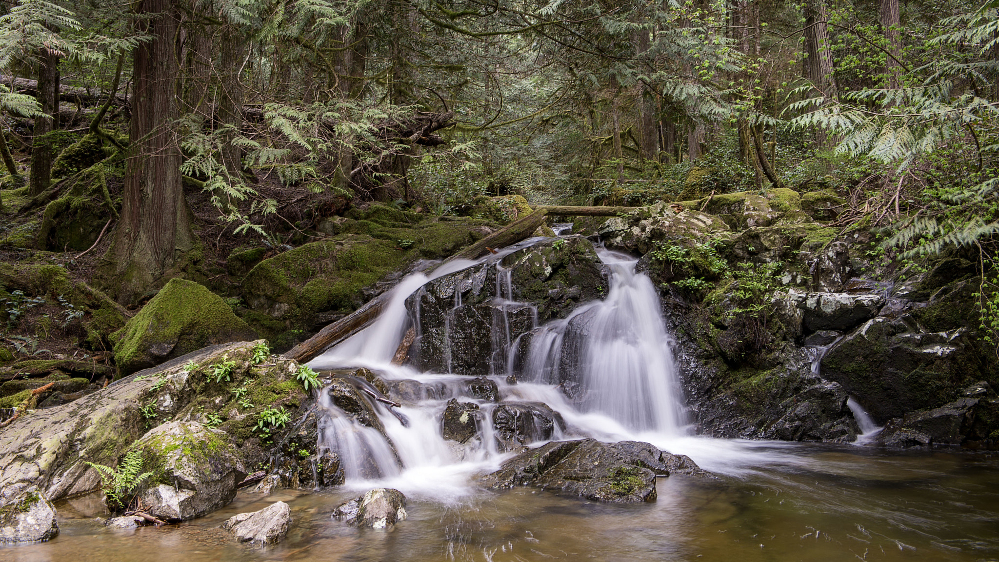 Homesite Creek Falls