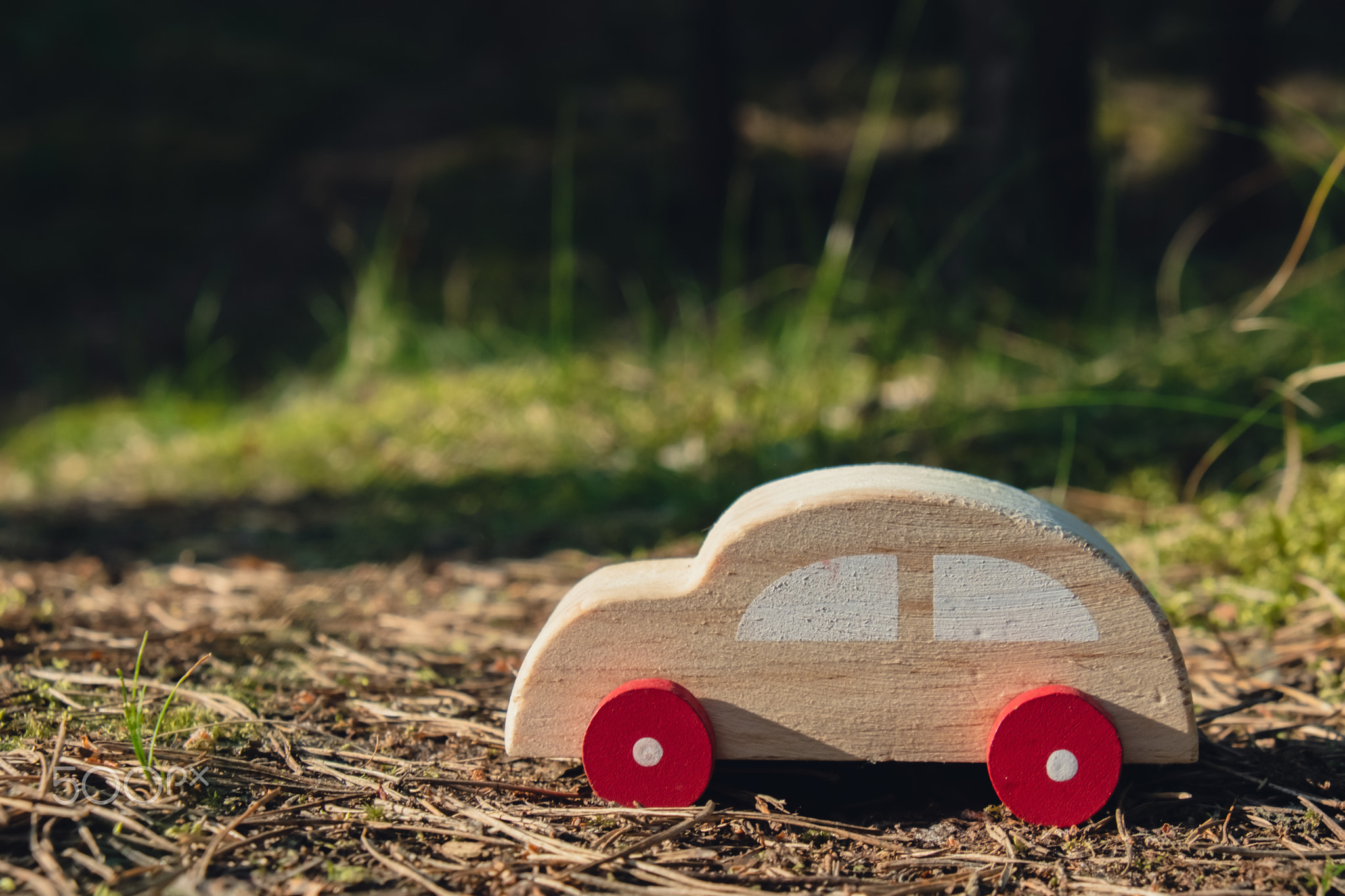 Wooden toy car on greenery forest background. Eco-car concept World