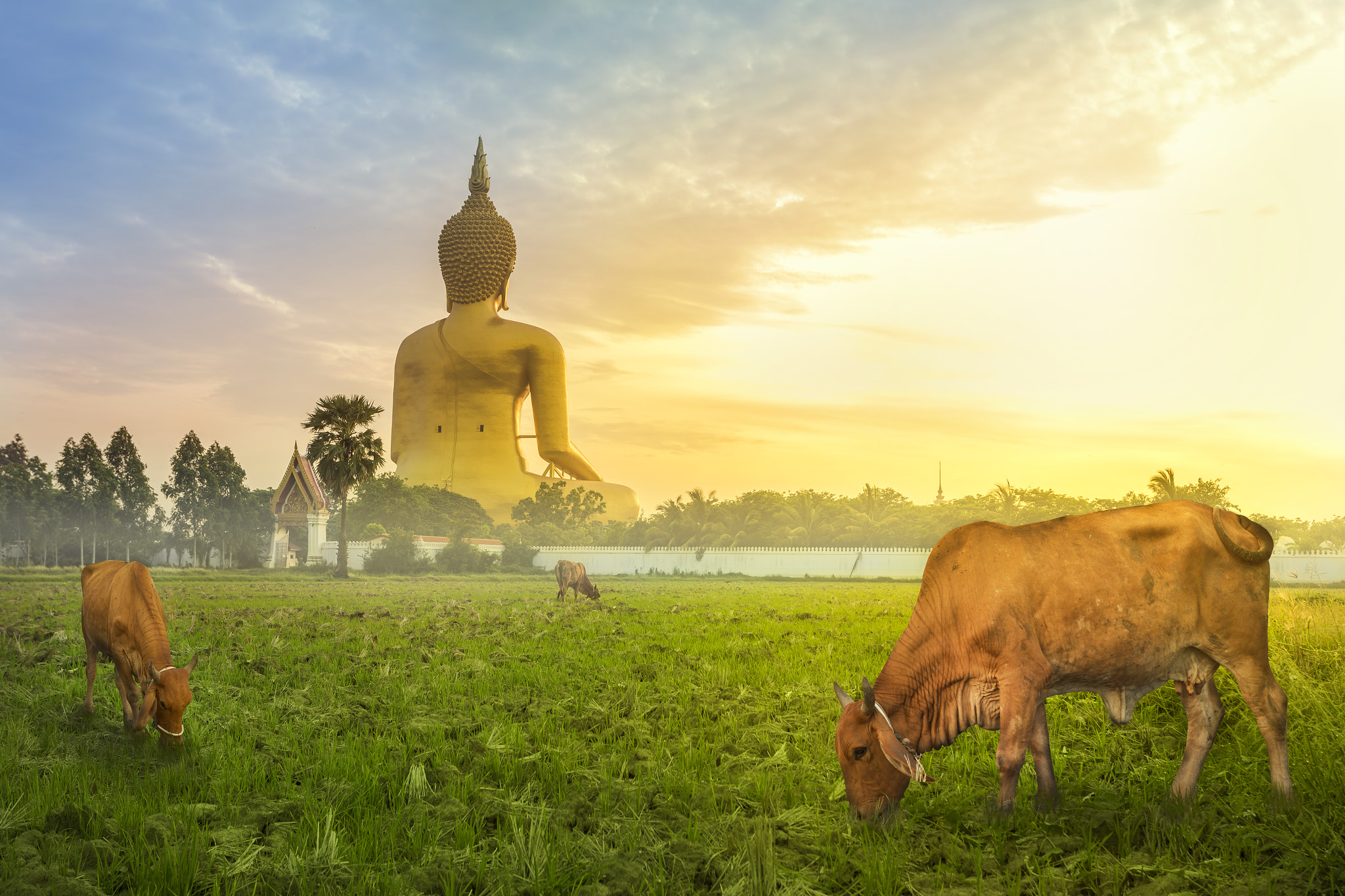 big statue image of buddha at Wat muang,Angthong,Thai land