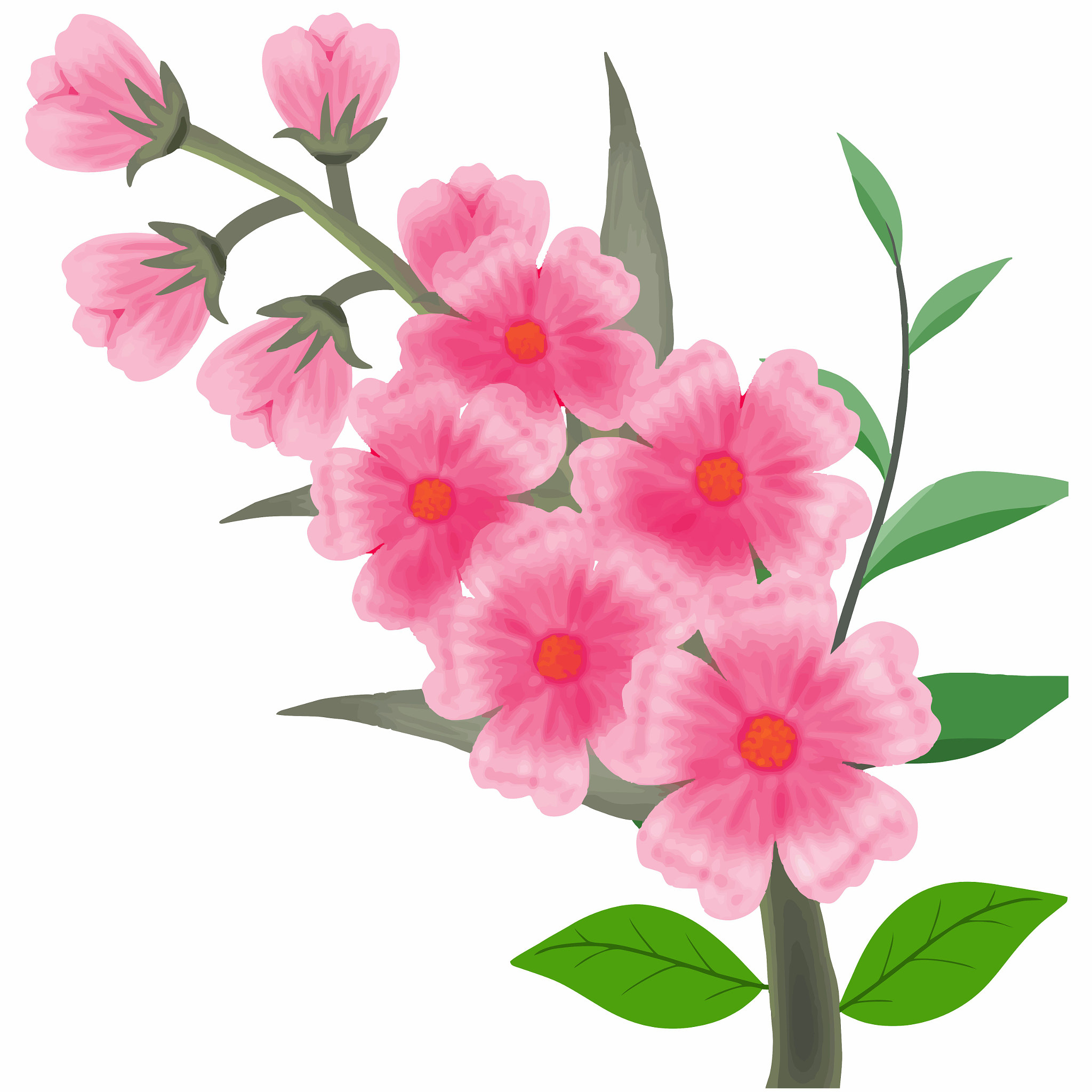 illustration flower for decoration