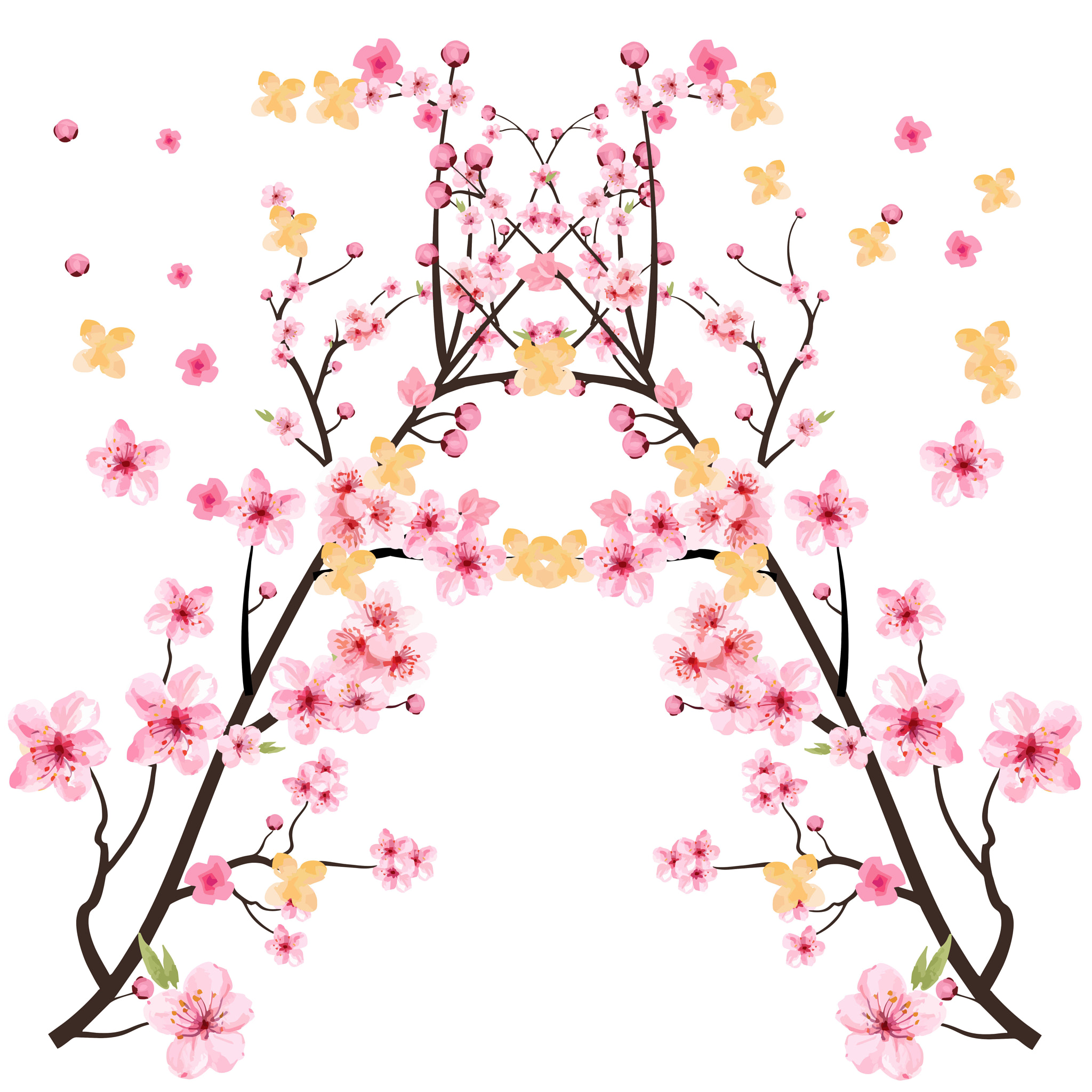 sakura flower illustration