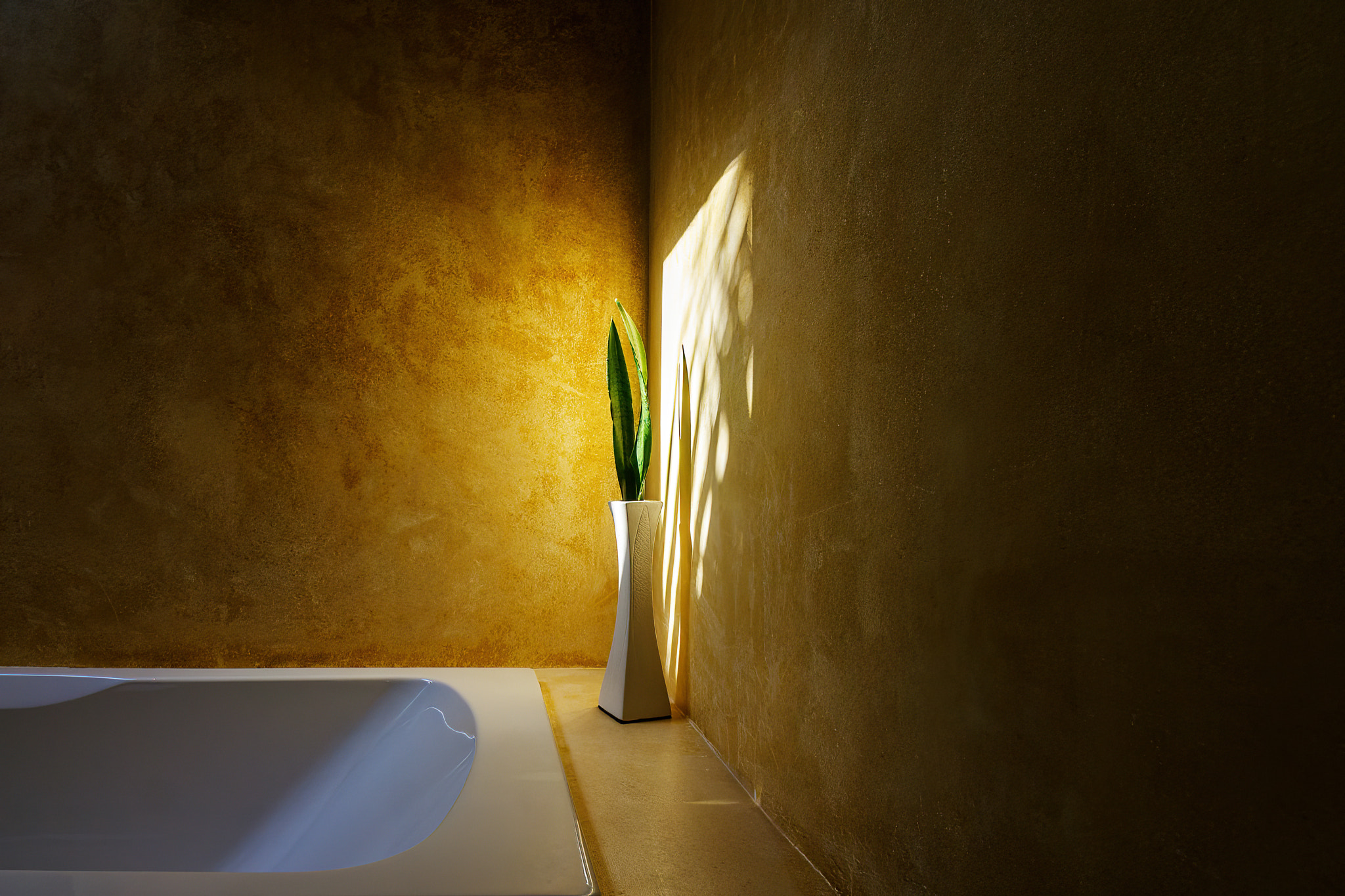 a lonely plant in the bathroom illuminated by the sun's rays