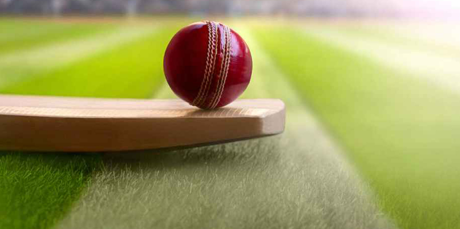 Best and reliable online cricketer id