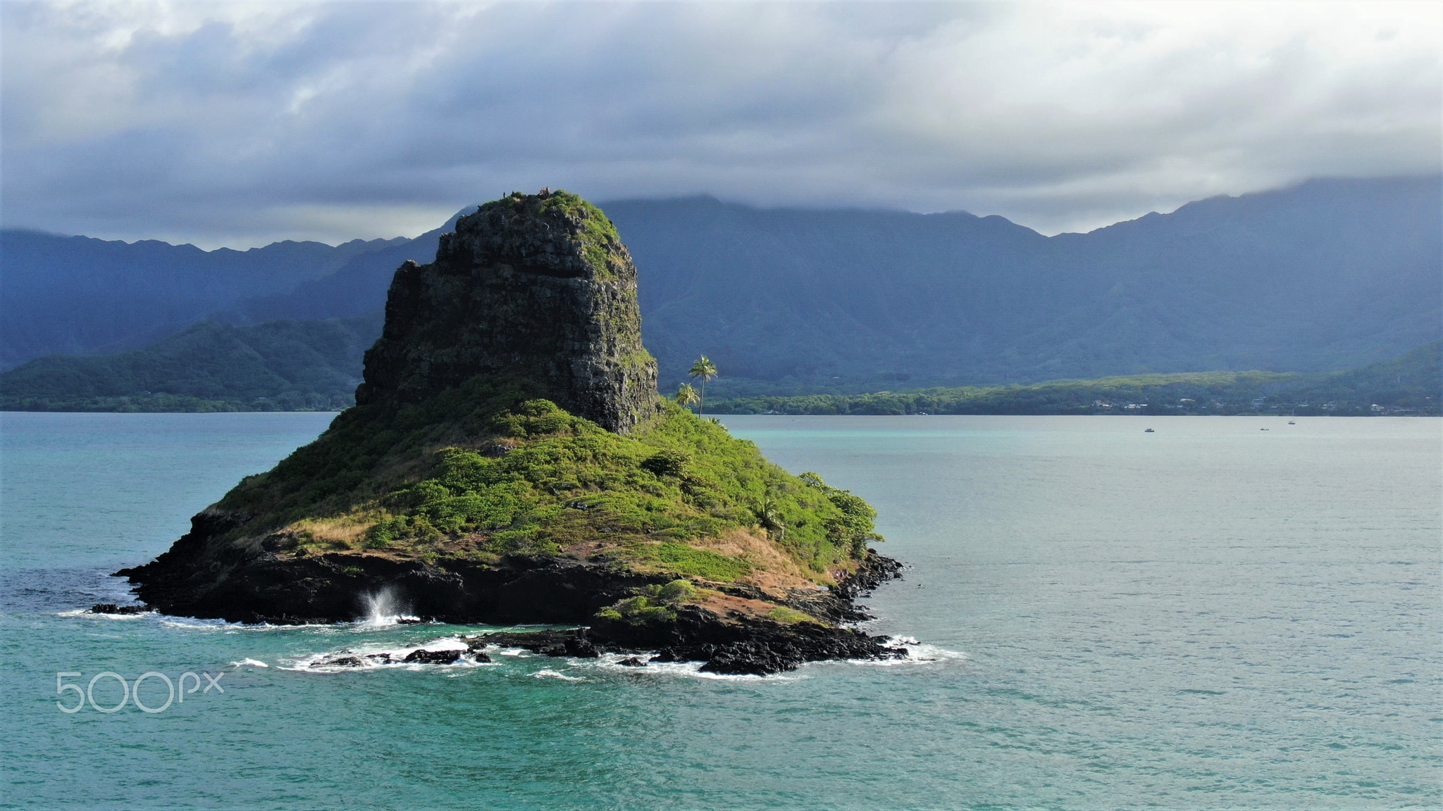 Hawaii trademark, Mokoliʻi kudos