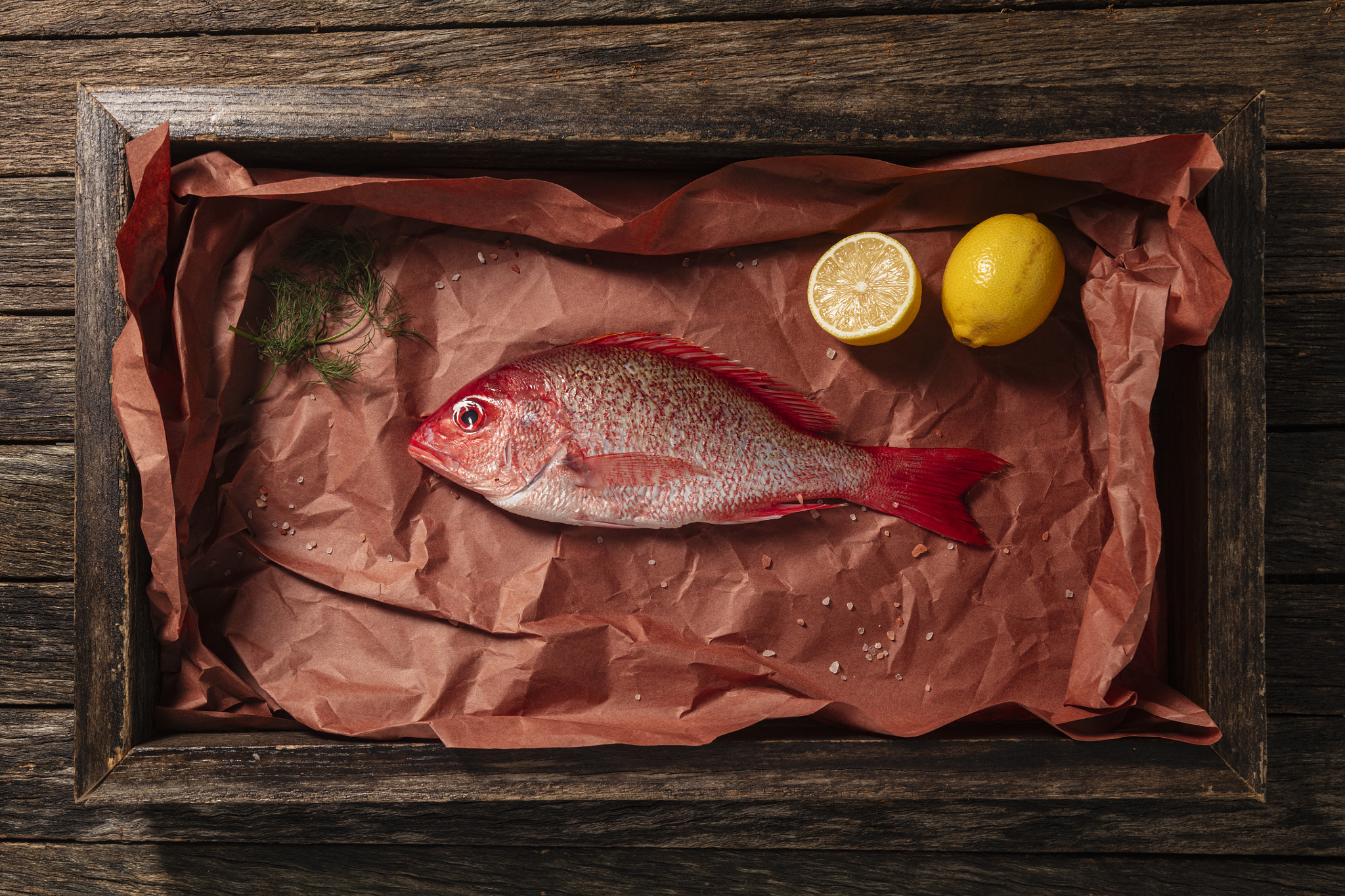 Raw Red Snapper Being Prepped