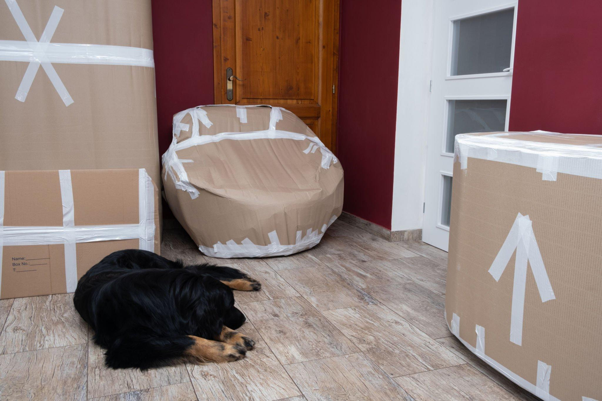 v2?sig=e3718adccf0f6fdc34cbcea1fe423a8487f772891ab02589861be8bf3e71d5fe