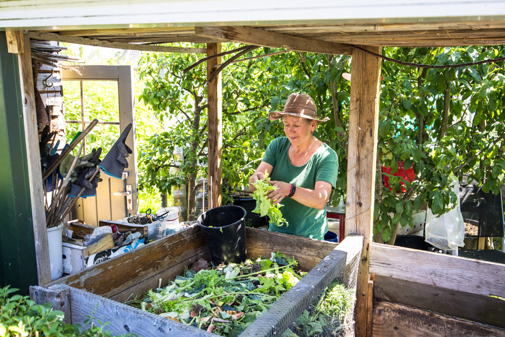 A woman working in here allotment vegetable garden  by Peter van Haastrecht on 500px.com