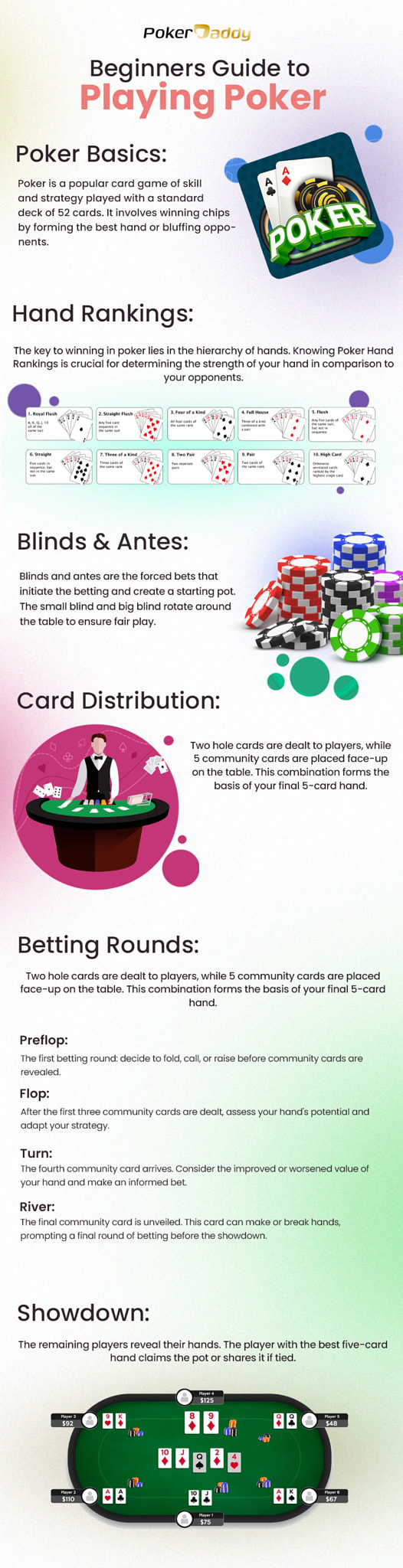 How to play Poker | Beginners Guide Infographic |  PokerDaddy