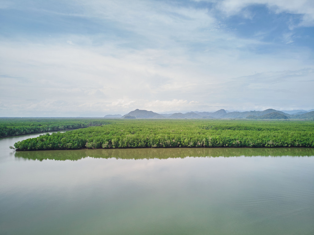 Scenic view of mangrove forest in the sea against mountain by Anucha Muphasa on 500px.com