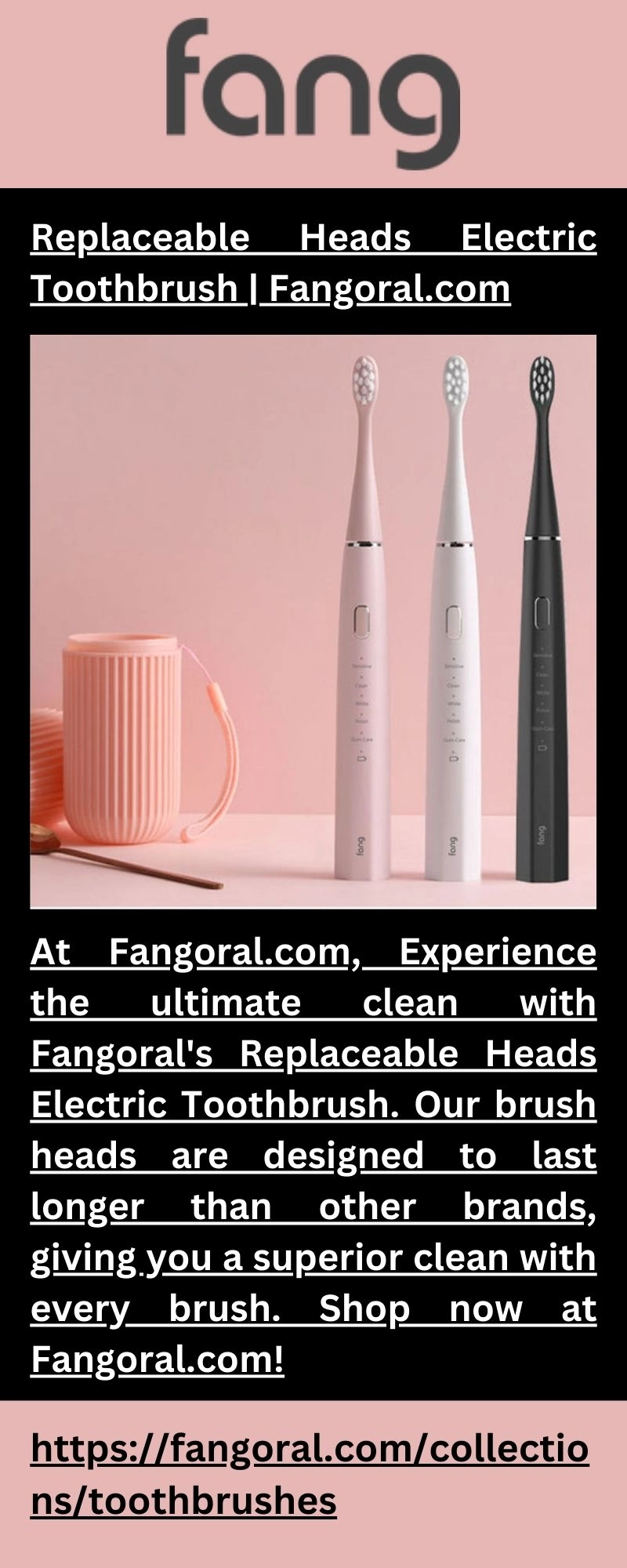 Replaceable Heads Electric Toothbrush | Fangoral.com