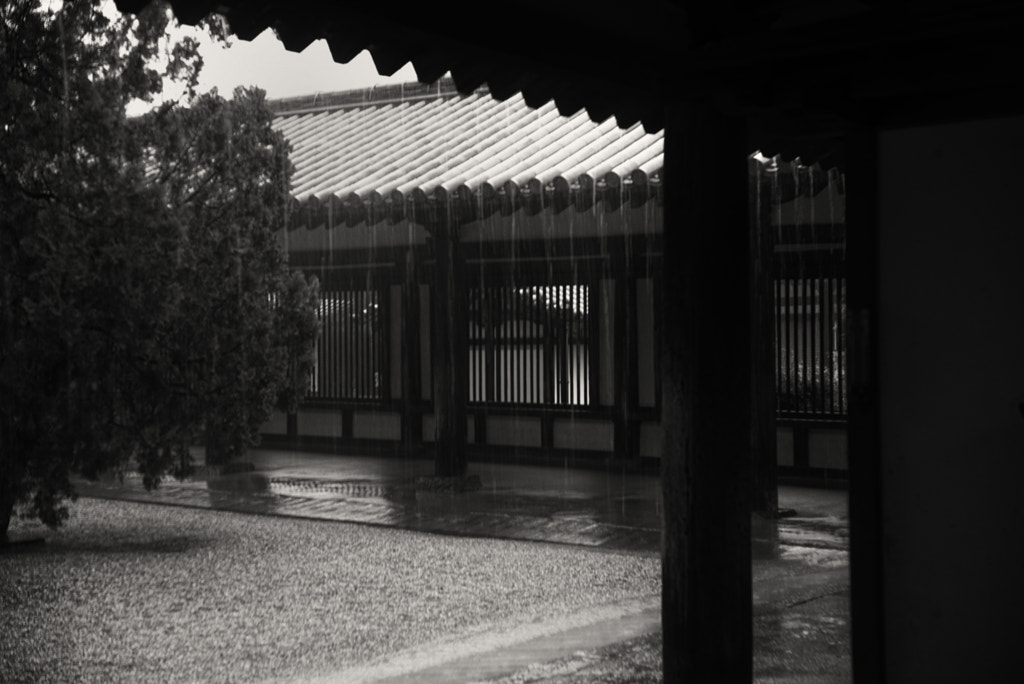 The rainy corridor by Hiro .M on 500px.com