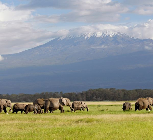 Kilimanjaro Trekking Tour Packages: Summiting Africa's Roof with Unparalleled Adventure