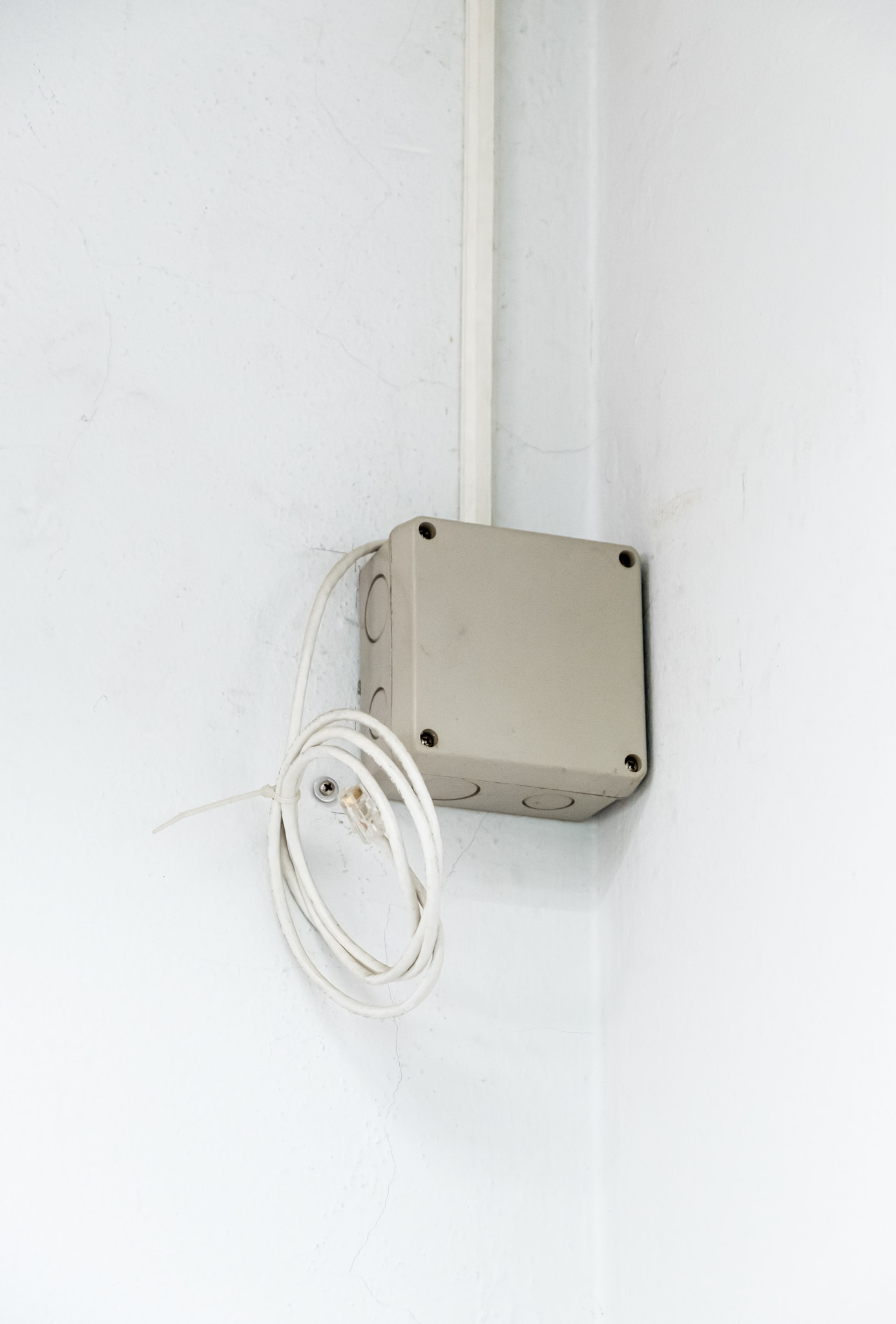 The small control box with the LAN cable for distribution of the network around the office.: The small control box with the LAN cable for distribution of the network around the office, located near the wall of the meeting room, front view with the copy space.