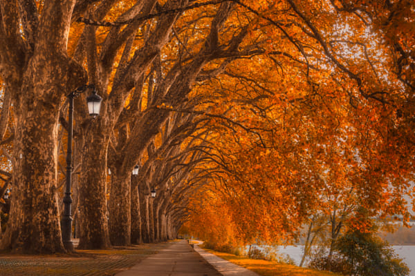 Ponte de Lima promenade by Nora Skerlecz on 500px.com