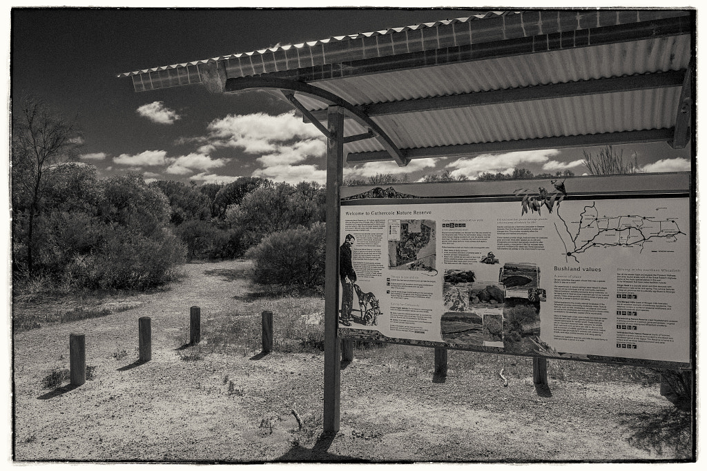 Gathercole Reserve Walk Trail by Paul Amyes on 500px.com