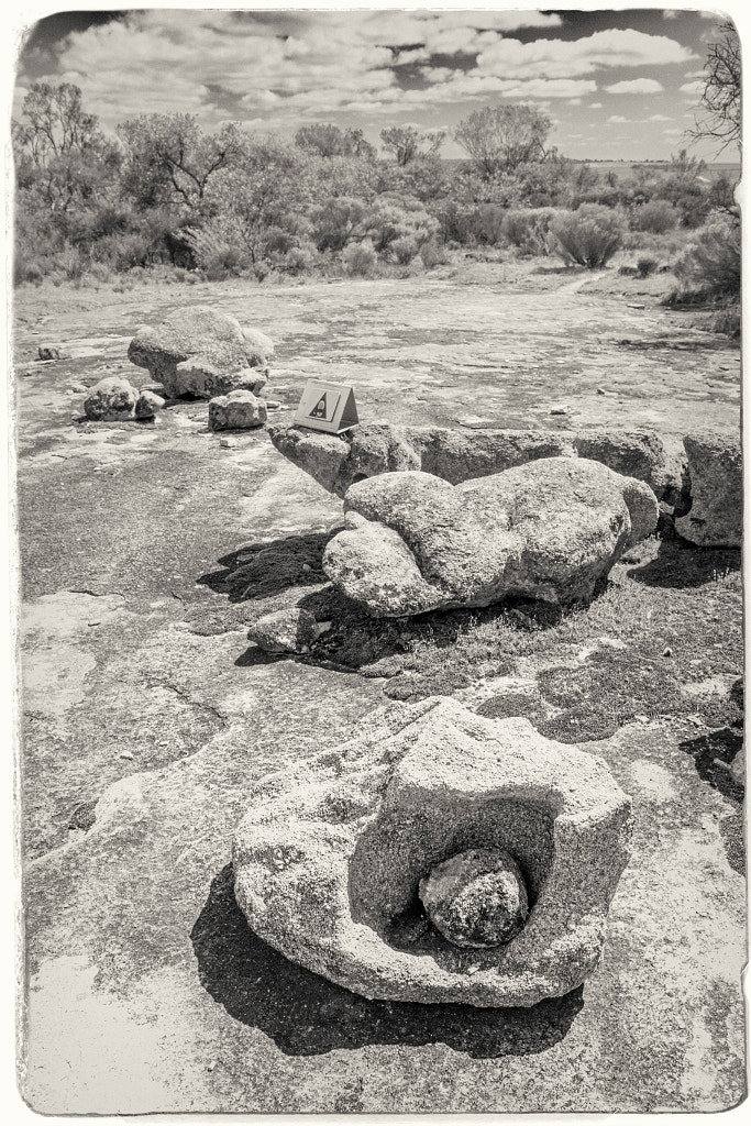 Gathercole Reserve Walk Trail by Paul Amyes on 500px.com