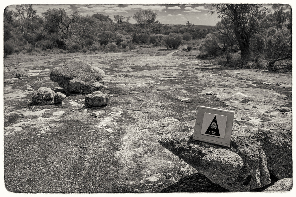 Gathercole Reserve Walk Trail by Paul Amyes on 500px.com