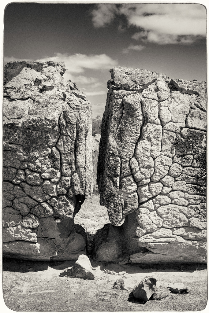Gathercole Reserve Walk Trail by Paul Amyes on 500px.com
