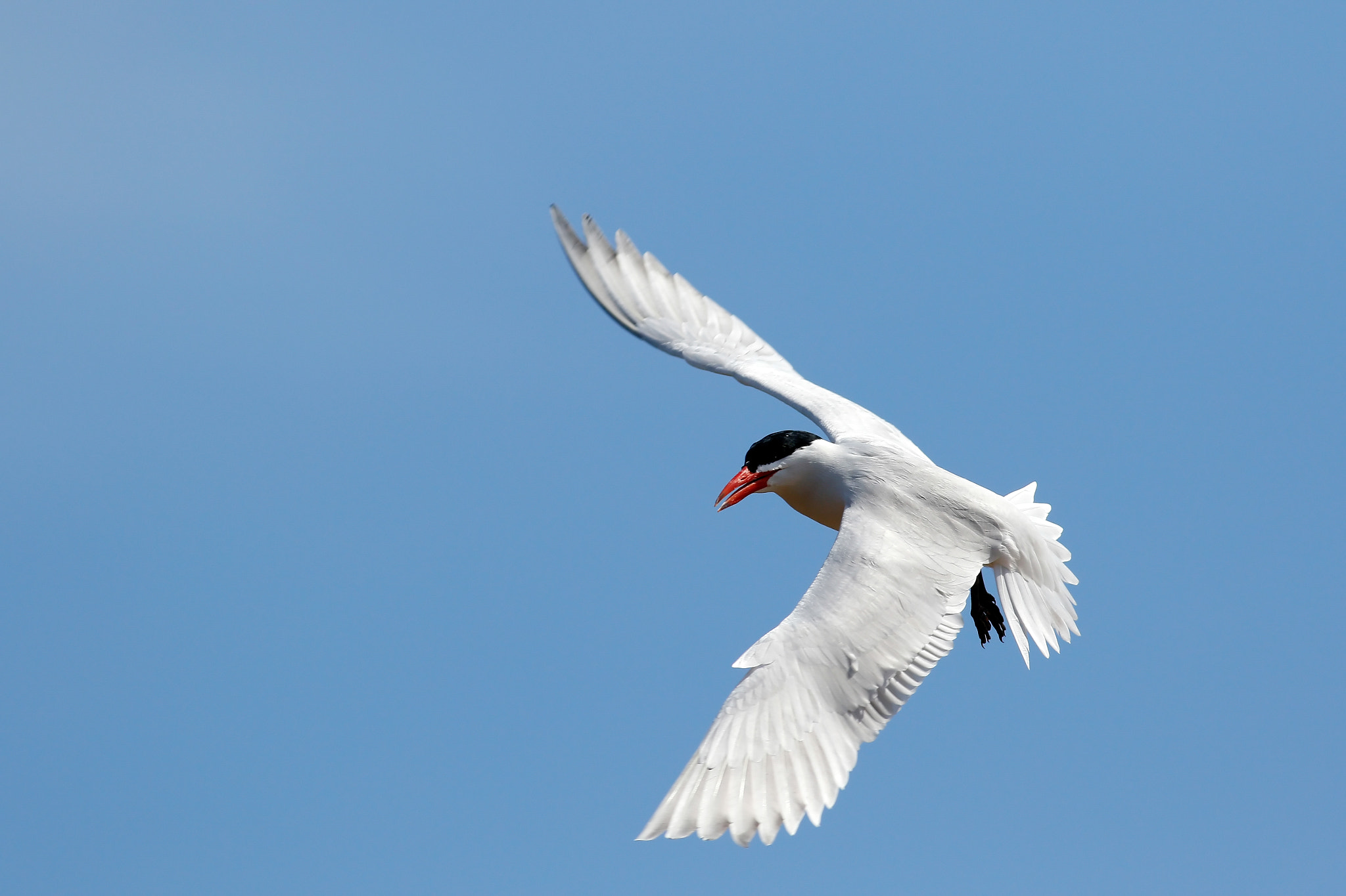 v2?sig=9d7eeec02219c95fb1c4eeebf2e978d8eb982fcf1a377e4708cb57fb46f1af44