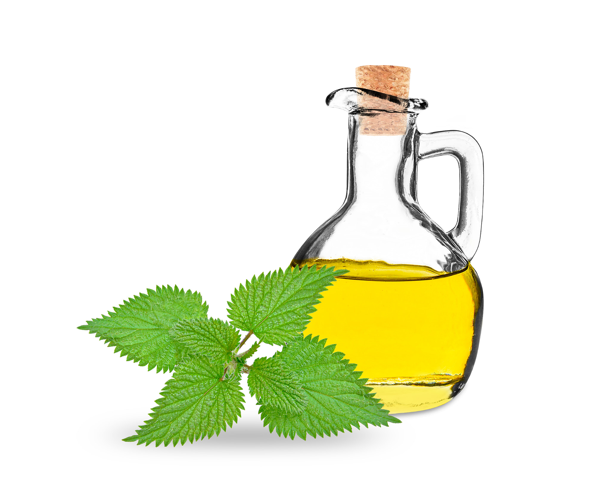 nettle oil