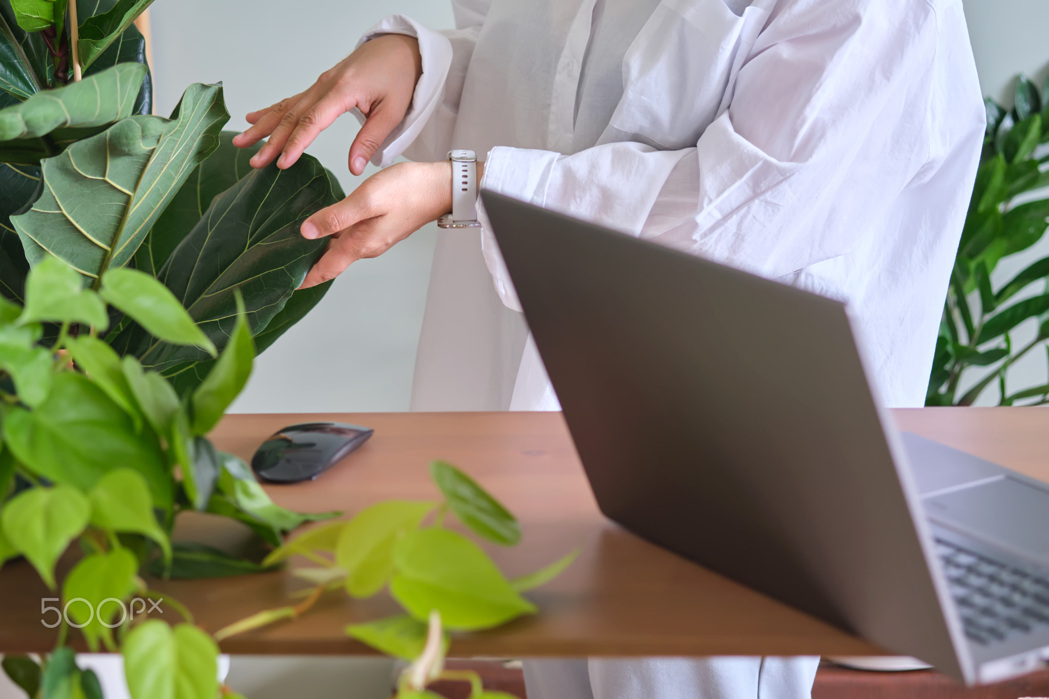 Women's hands at a laptop against a background of greenery.