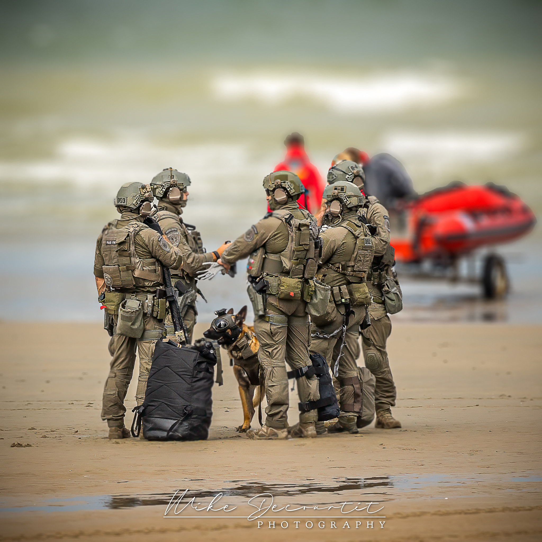 International K9 Day-52