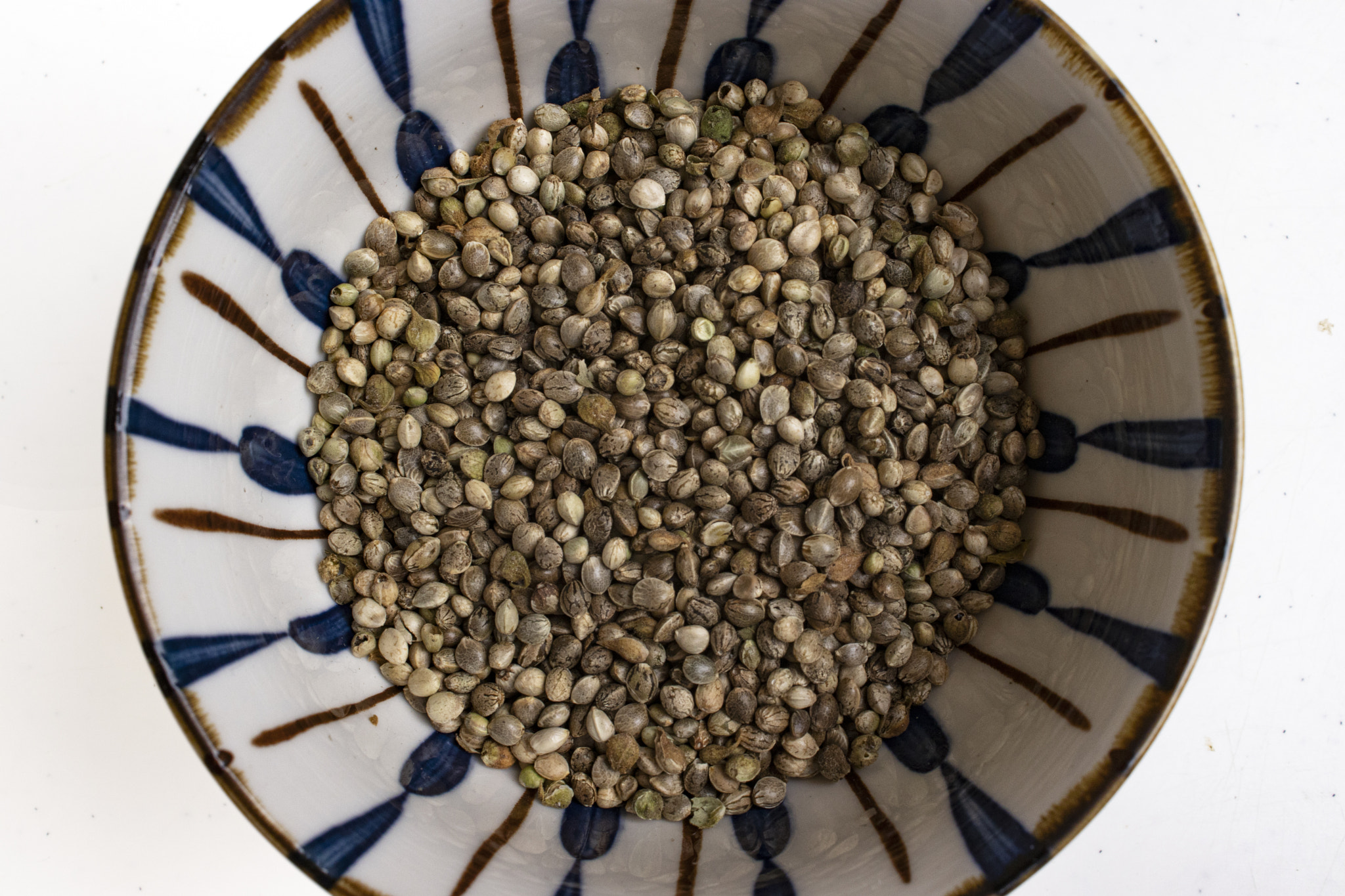 Directly above shot of hemp seeds in a bowl on white background