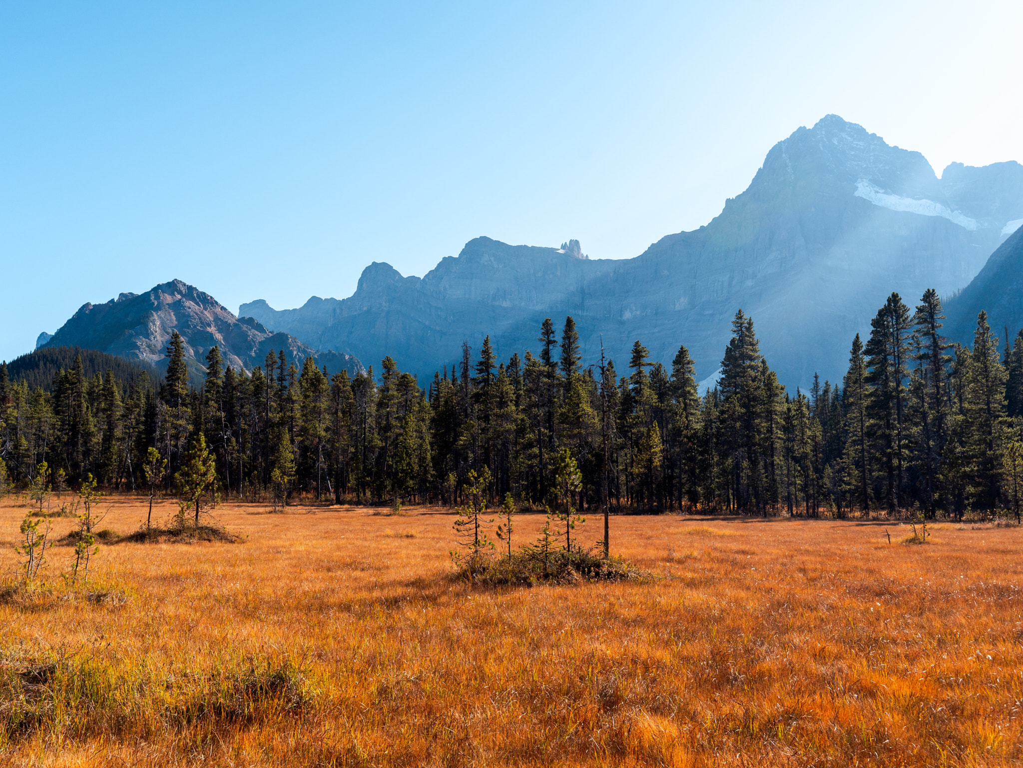 Mountain Meadow