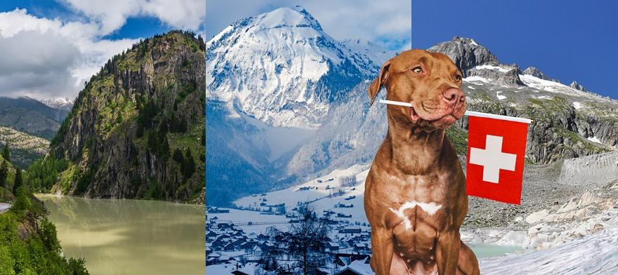 Immobilie verkaufen mit RealAdvisor