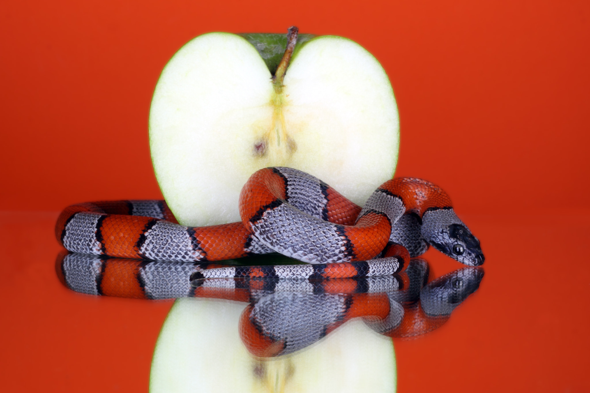 v2?sig=2eec01107ffc12d5bac56addff58355572670e00df3892850af076441e87ad57