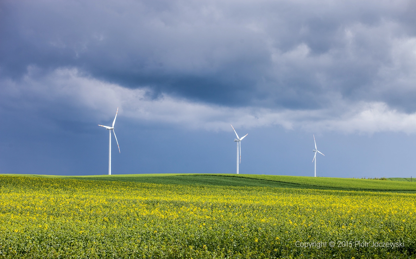Spring wind by Piotr Jaczewski Photo 107869051 / 500px