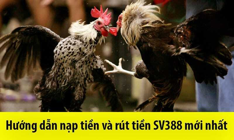 v2?sig=a2880fb9bb94e680e1abee1bad06123c464050935818dcfb83d06d22e5934613