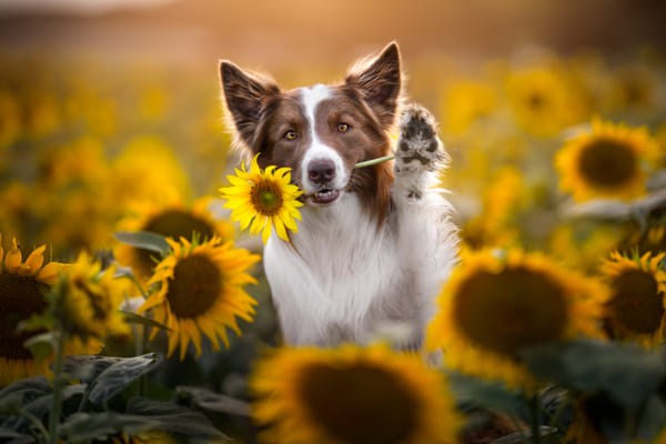 Hi! by Iza ?yso? on 500px.com