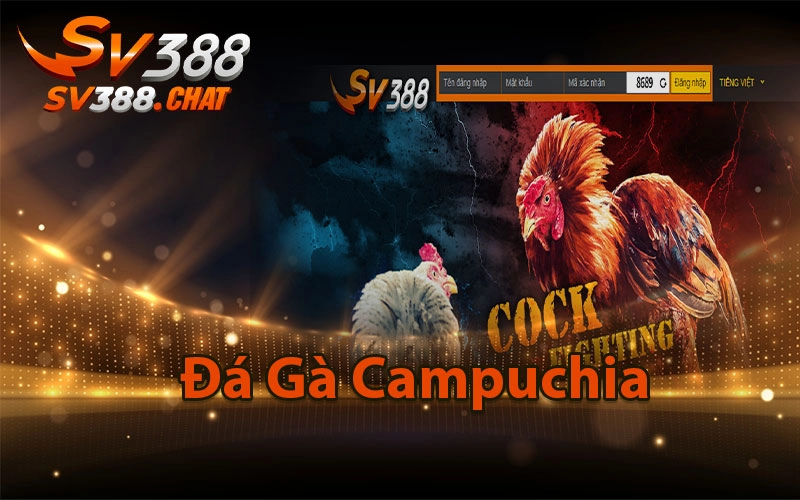 Đá Gà Campuchia – Chơi Đá Gà Trúng Tiền Tỷ Tại SV388