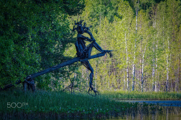 Swamp Spirit by Eugene V on 500px.com