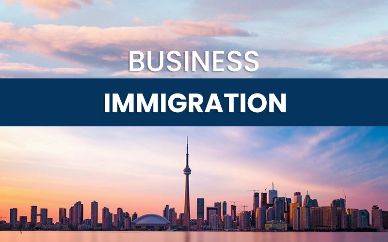 Business immigration consultant