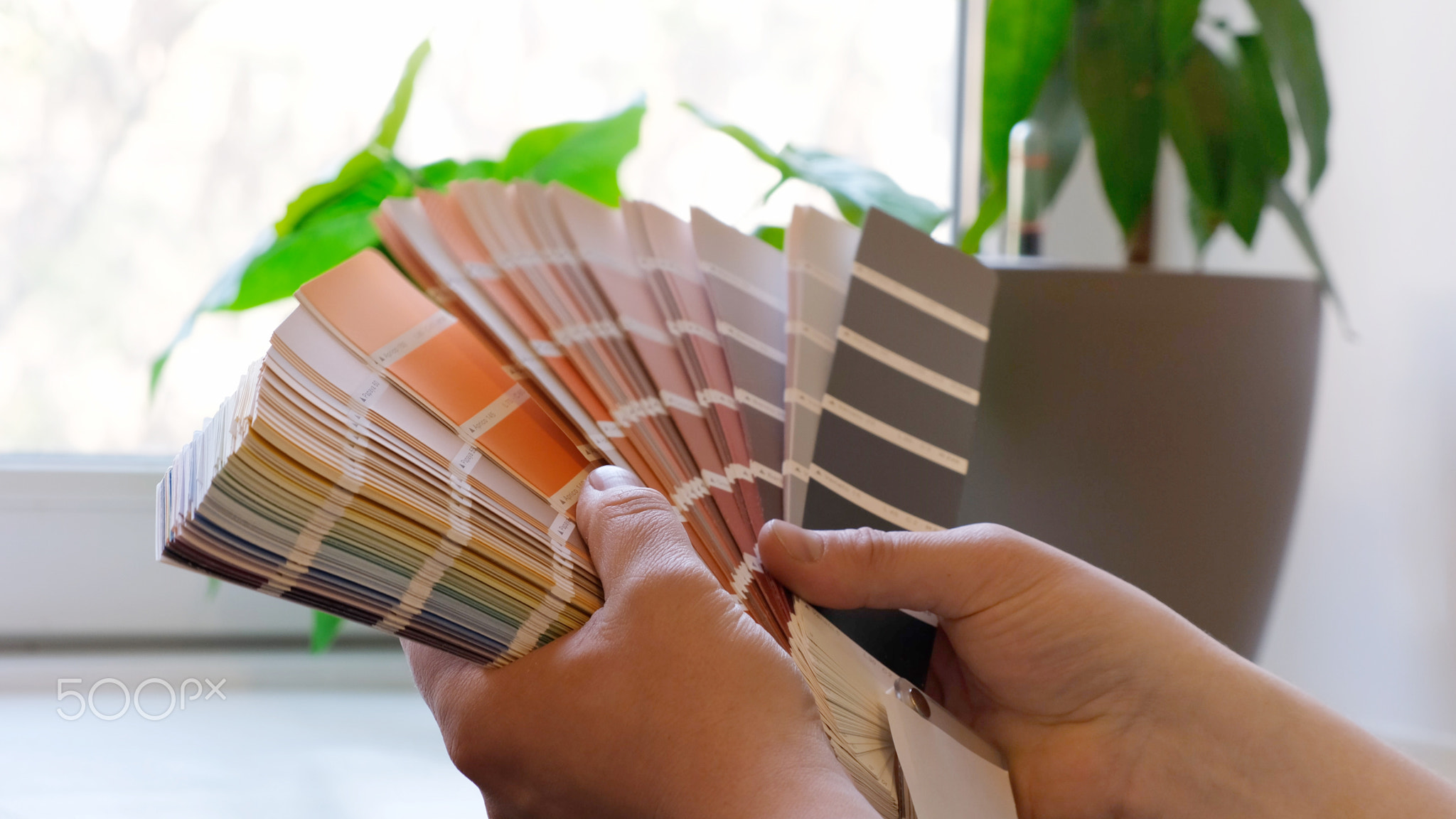 The designer holds pantone fan of color guide in hand. Selection of