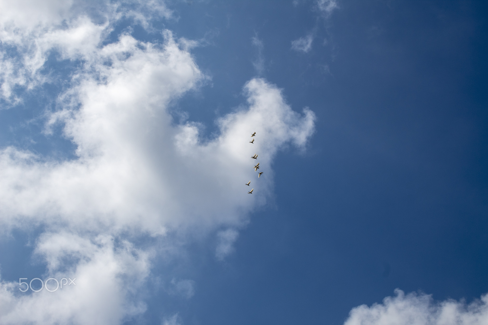 Low angle view of clouds in sky