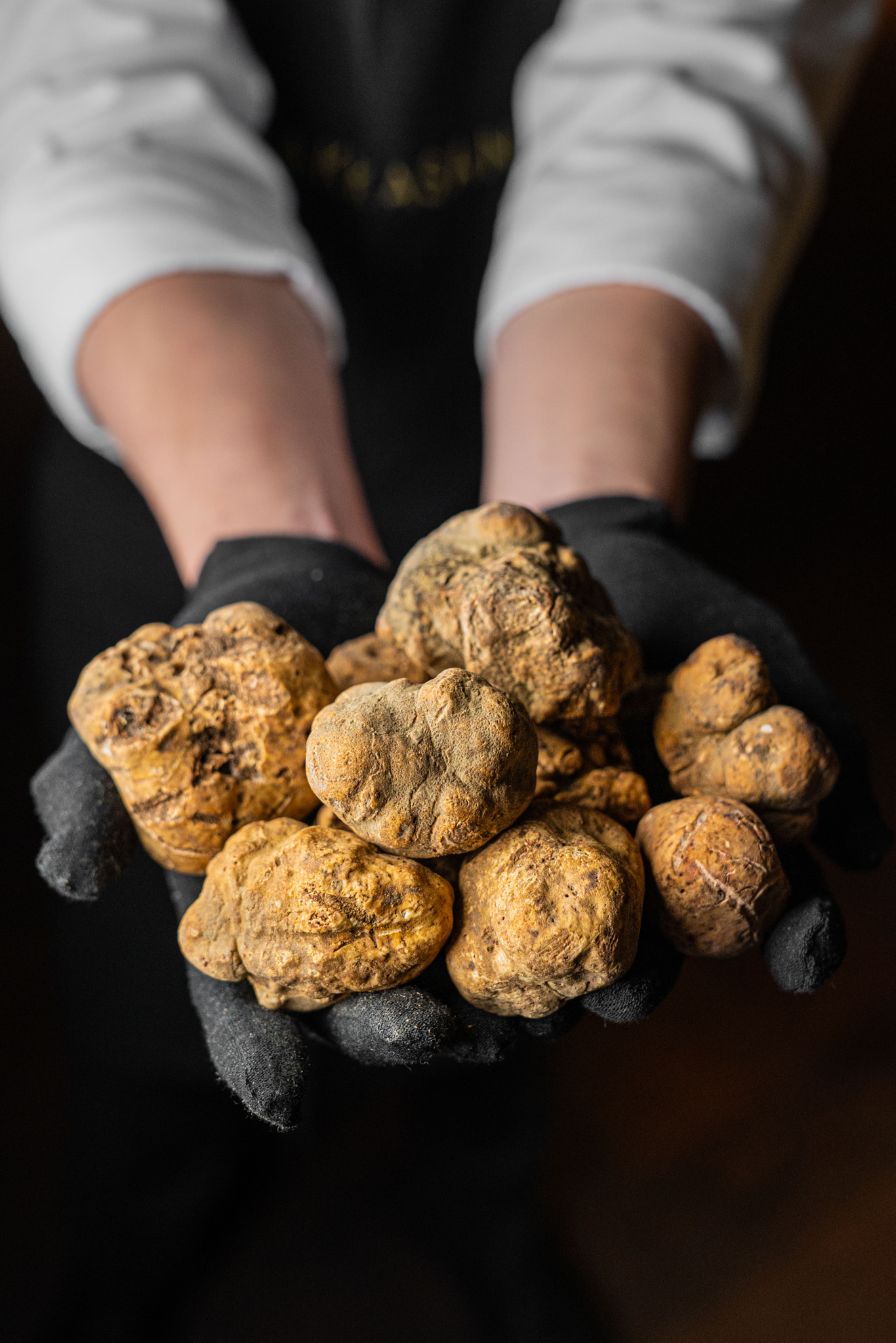 Chef holding white truffle