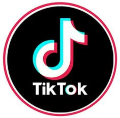 Download, Share, Repeat: A TikTok Downloader's Success Story